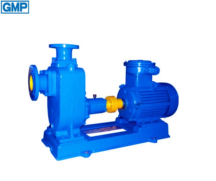 P Self-priming Non clog sewage pump