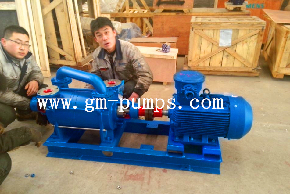 2SK liquid ring vacuum pump, NASH vacuum pump